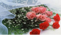 婚姻问题：嫁给妈宝男，这样的婚姻感觉太累......