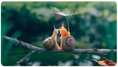 婚姻问题:怎样修正另一半的坏习惯