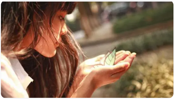 1634707974432891.png 图片.png