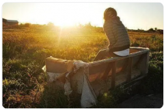 婚姻出轨问题本质是一种对自身问题无能为力的表现