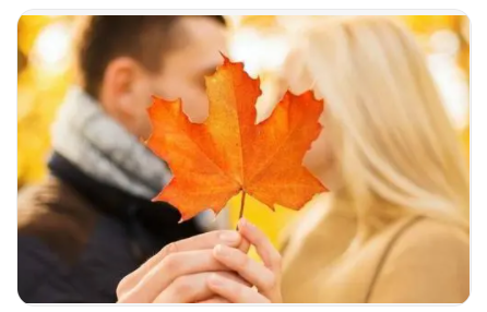 1636441505382751.png 图片.png