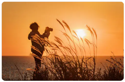 1637219604128918.png 图片.png