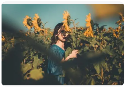 1637219917472488.png 图片.png