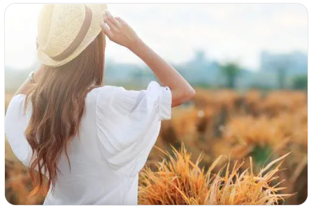 1637909957112708.png 图片.png