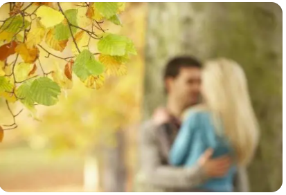 1641348835243947.png 图片.png