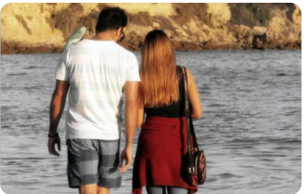 1642733417101765.png 图片.png