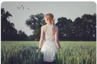 1642733439103125.png 图片.png